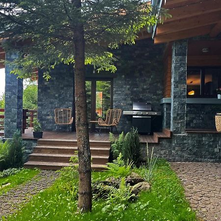 Bazalt Wellness Villa Harghita-Bai Εξωτερικό φωτογραφία