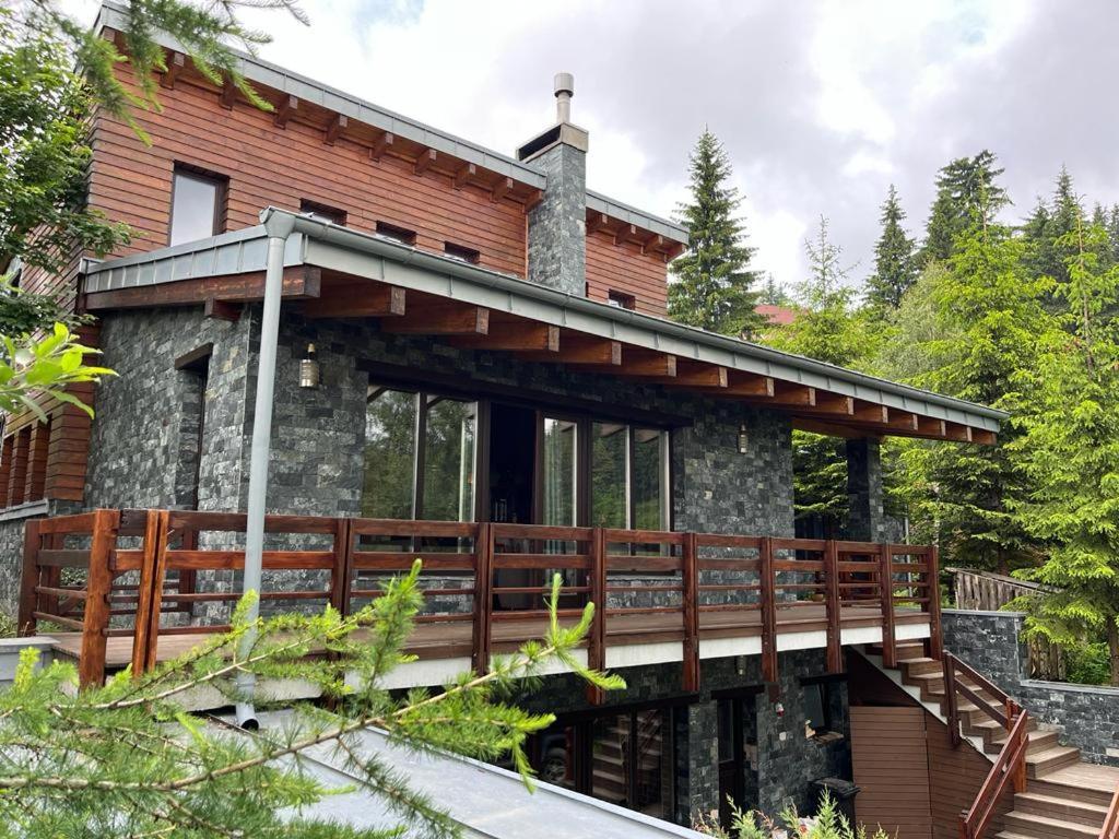 Bazalt Wellness Villa Harghita-Bai Εξωτερικό φωτογραφία