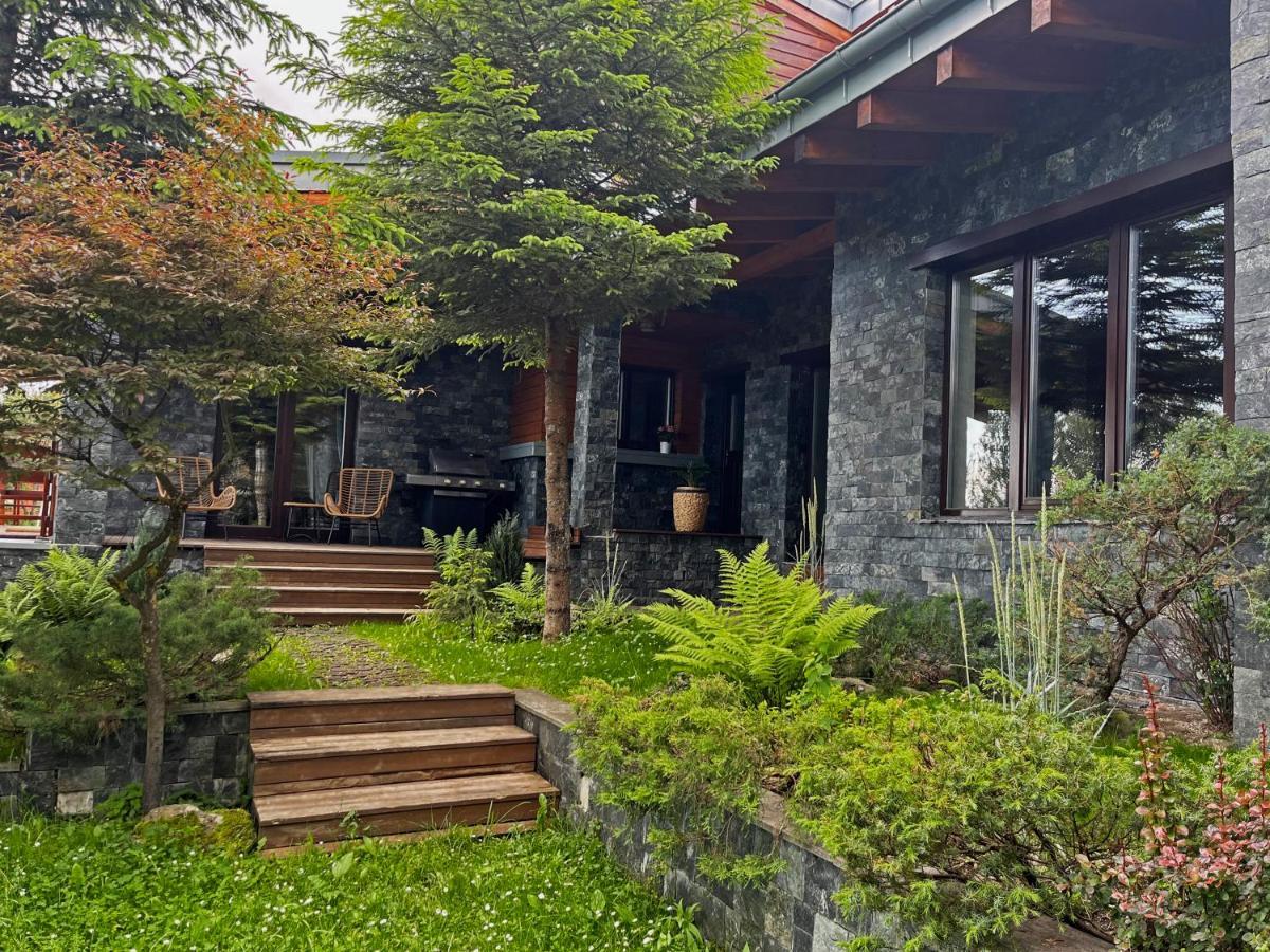 Bazalt Wellness Villa Harghita-Bai Εξωτερικό φωτογραφία