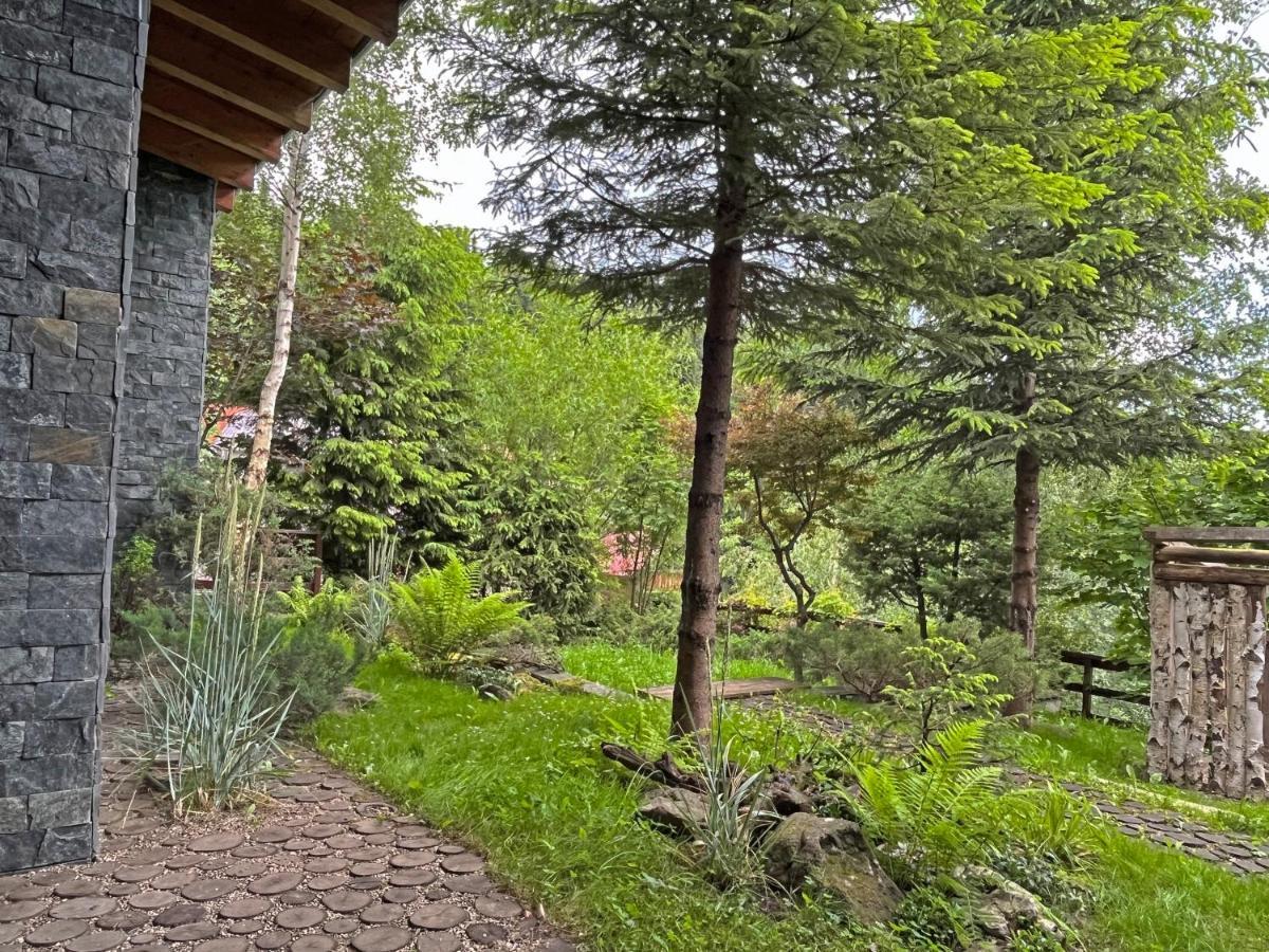 Bazalt Wellness Villa Harghita-Bai Εξωτερικό φωτογραφία