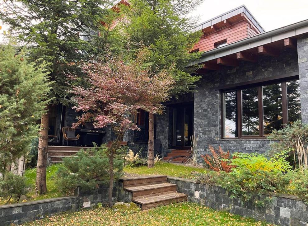 Bazalt Wellness Villa Harghita-Bai Εξωτερικό φωτογραφία